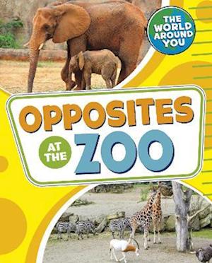 Opposites at the Zoo