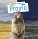 Day and Night on the Prairie
