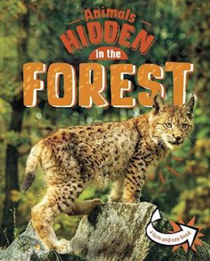 Animals Hidden in the Forest