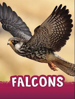 Falcons