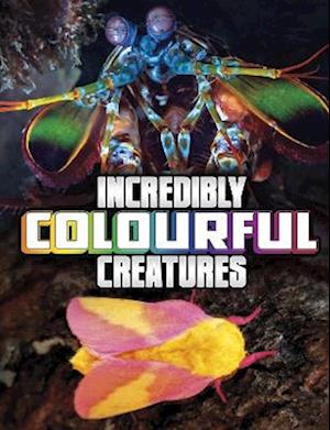 Incredibly Colourful Creatures