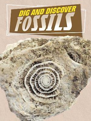 Dig and Discover Fossils