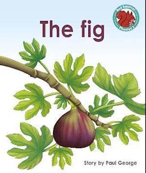 The Fig