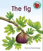 The Fig