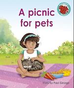 A picnic for pets