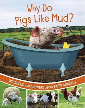 Why Do Pigs Like Mud?