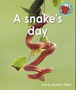 A snake's day
