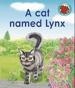A cat named Lynx