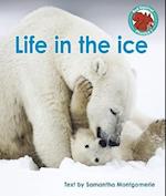 Life in the ice