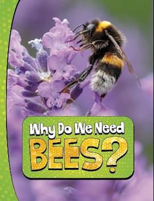 Why Do We Need Bees?