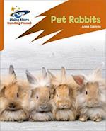 Reading Planet: Rocket Phonics – Target Practice – Pet Rabbits – Orange