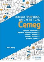 Sgiliau Hanfodol ar gyfer TGAU Cemeg (Essential Skills for GCSE Chemistry: Welsh-language edition)