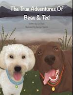 The True Adventures of Beau and Ted