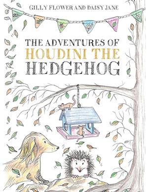 The Adventures of Houdini the Hedgehog