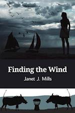 Finding the Wind