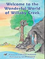 Welcome to the Wonderful World of Willaby Creek