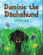 Dominic the Dachshund