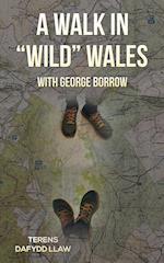 A Walk in "Wild" Wales with George Borrow