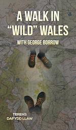 A Walk in "Wild" Wales with George Borrow