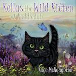 Kellas the Wild Kitten of Puddledub