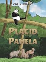 Placid Pamela