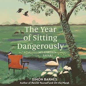 Year of Sitting Dangerously