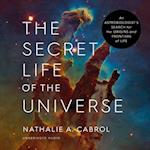 Secret Life of the Universe