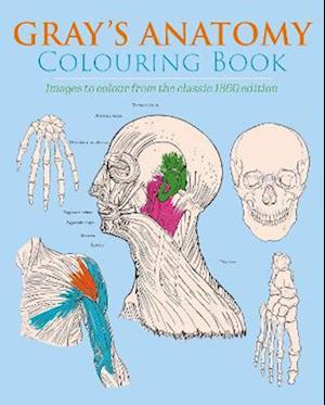 Gray's Anatomy Colouring Book