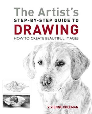 Artist's Step-by-Step Guide to Drawing