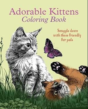 Adorable Kittens Coloring Book