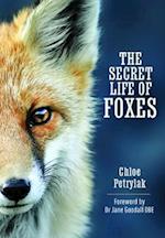 The Secret Life of Foxes