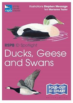 RSPB ID Spotlight - Ducks, Geese and Swans