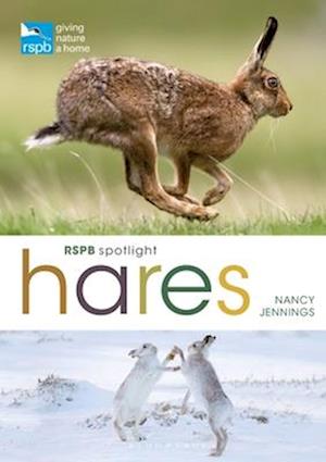 RSPB Spotlight Hares