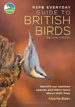 The RSPB Everyday Guide to British Birds