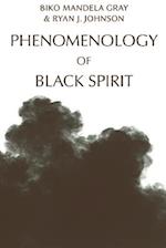 Phenomenology of Black Spirit