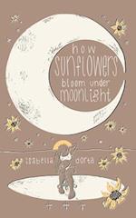 how sunflowers bloom under moonlight