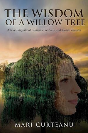 The Wisdom of a Willow Tree