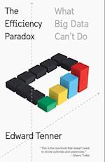 The Efficiency Paradox
