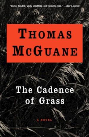 Cadence of Grass