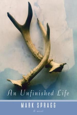 Unfinished Life