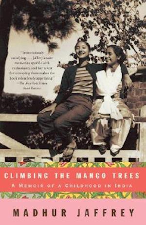 Climbing the Mango Trees