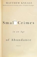 Small Crimes in an Age of Abundance