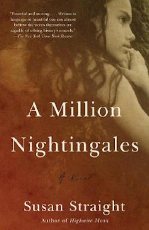 A Million Nightingales