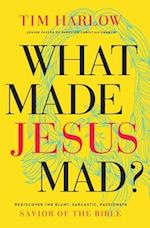 What Made Jesus Mad?: Rediscover the Blunt, Sarcastic, Passionate Savior of the Bible 