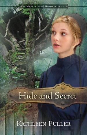 Hide and Secret