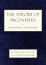 Theory of Incentives