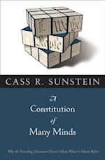 Constitution of Many Minds