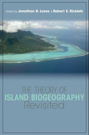 Theory of Island Biogeography Revisited