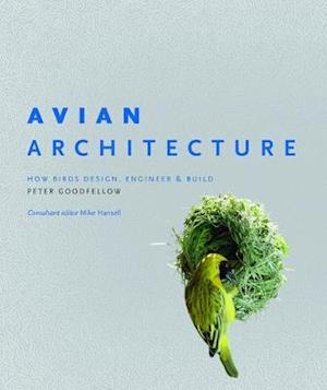 Avian Architecture