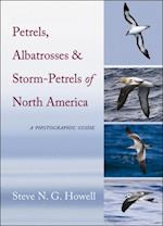 Petrels, Albatrosses, and Storm-Petrels of North America